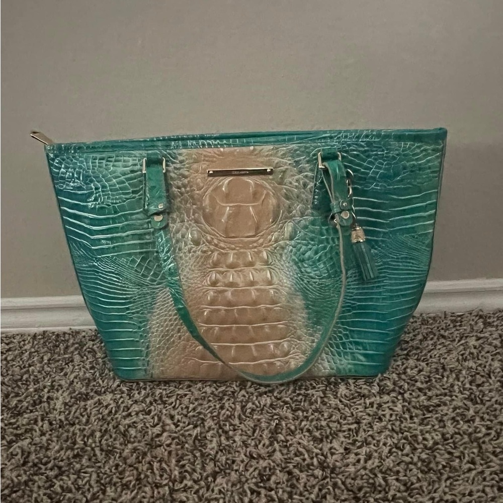 AUTHENTIC BRAHMIN bag